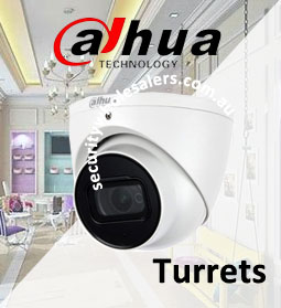 Dahua Eyeball Cameras